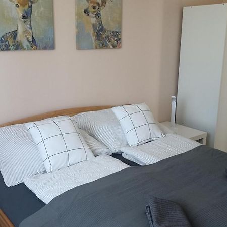 Appartamento Suni Apartman Ordacsehi Esterno foto